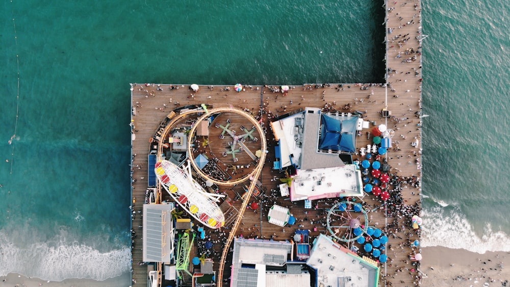 people gathering in park on shore during daytime