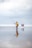 view of people fishing at the beach
