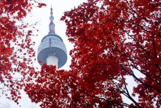 blue and white tower