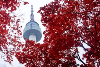 Korea