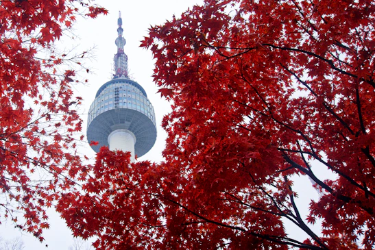 Seoul