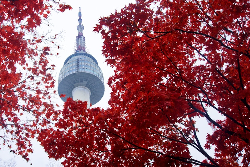 The Ultimate 3 Days in Seoul Itinerary N Seoul tower
