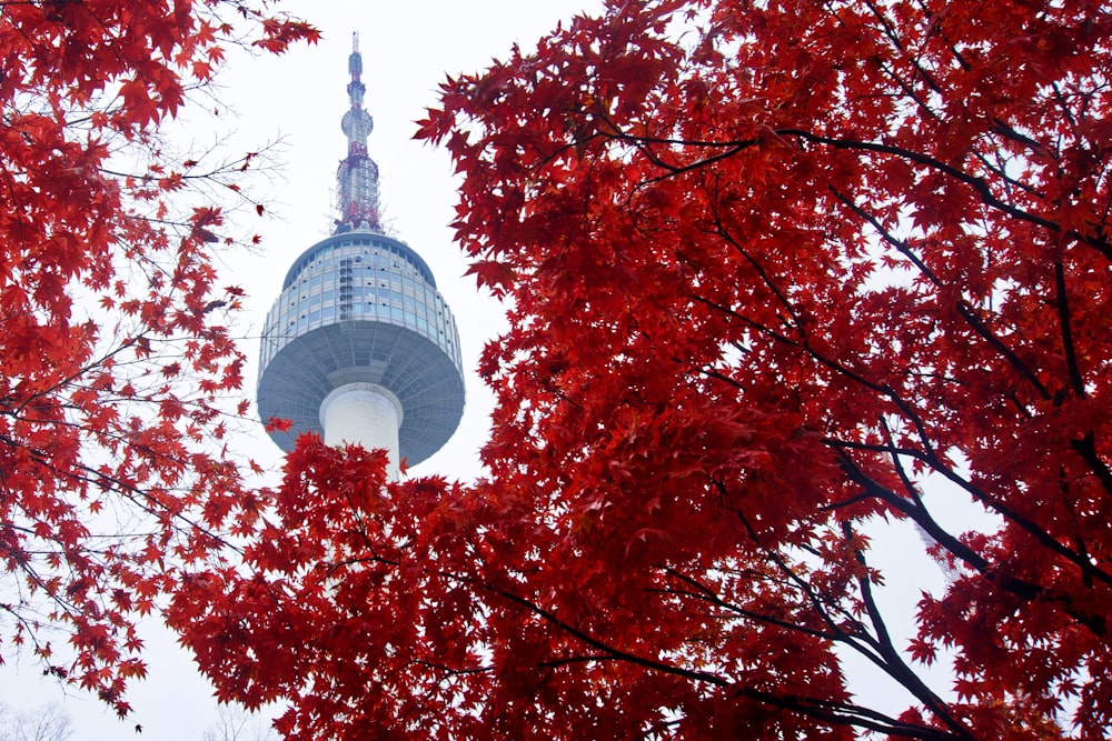 blue and white tower