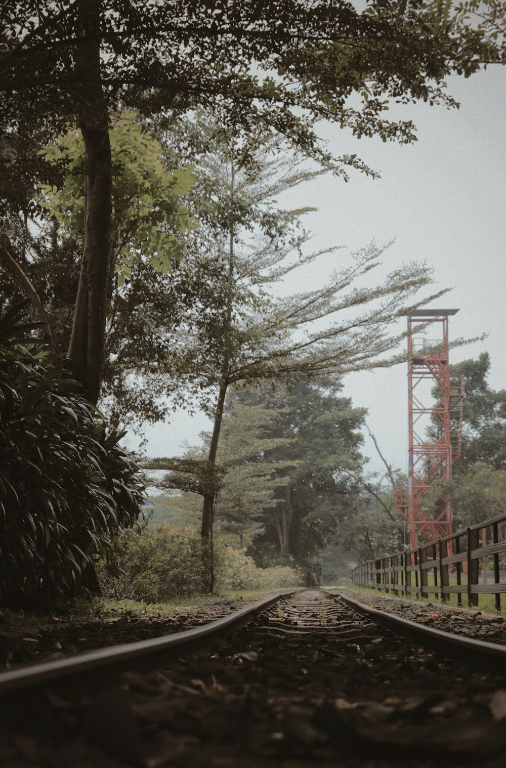 brown rail train