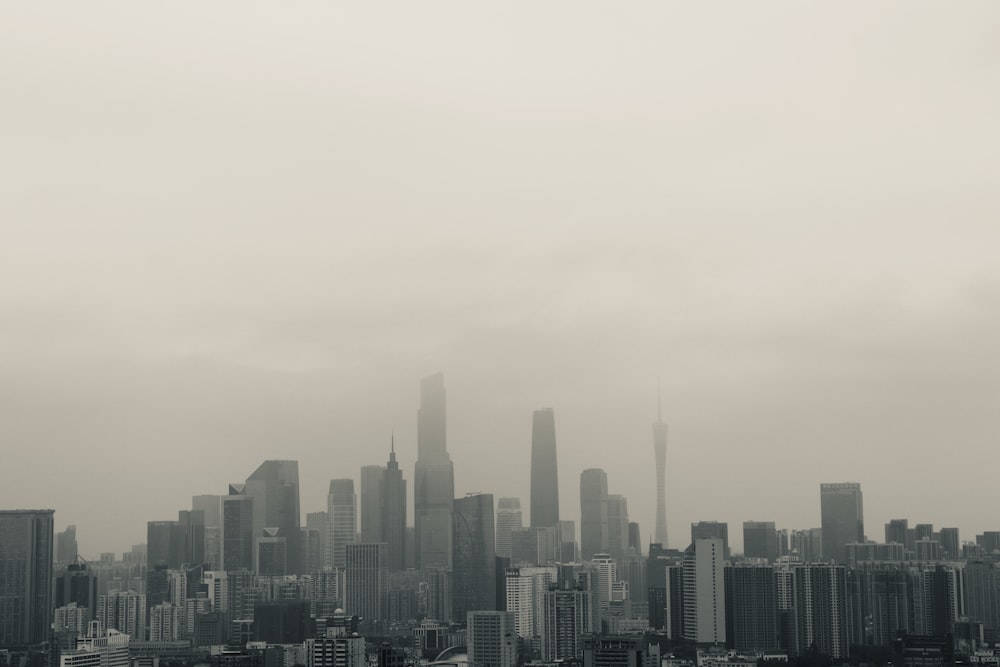 landscape of a city skyline