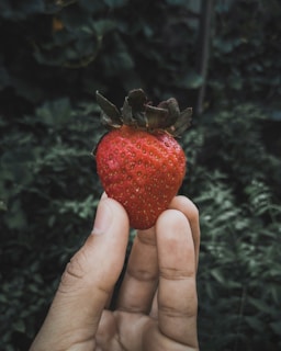 A person is holding a ripe red strawberry between their thumb and index finger. The background is a blurred mix of green foliage, providing a natural setting. The strawberry is vibrant and fresh, with visible seeds and a leafy top.