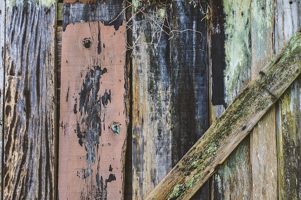 brown and green wooden fence
