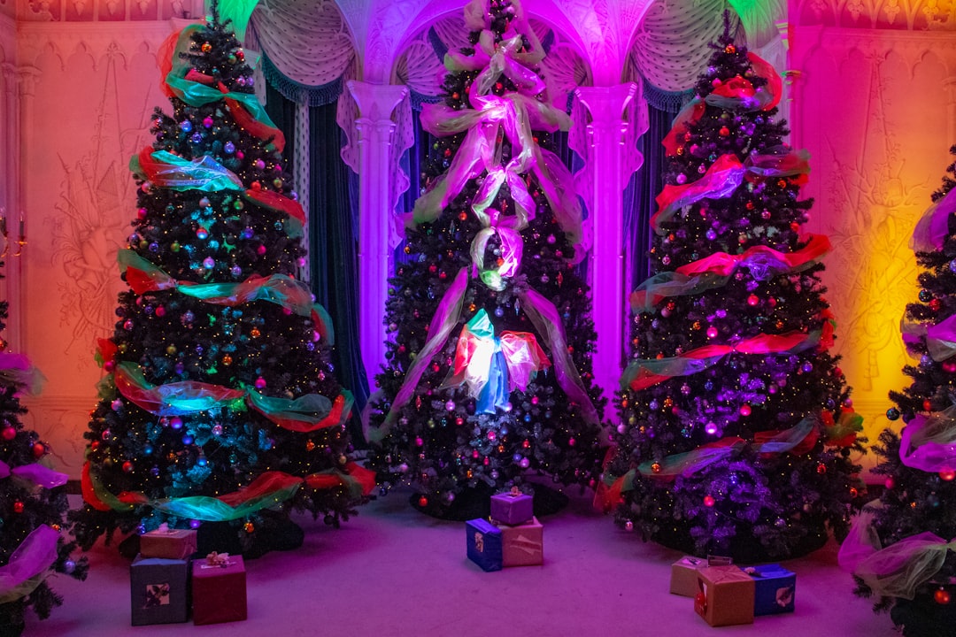 five assorted-color christmas trees with lights and gifts inside room