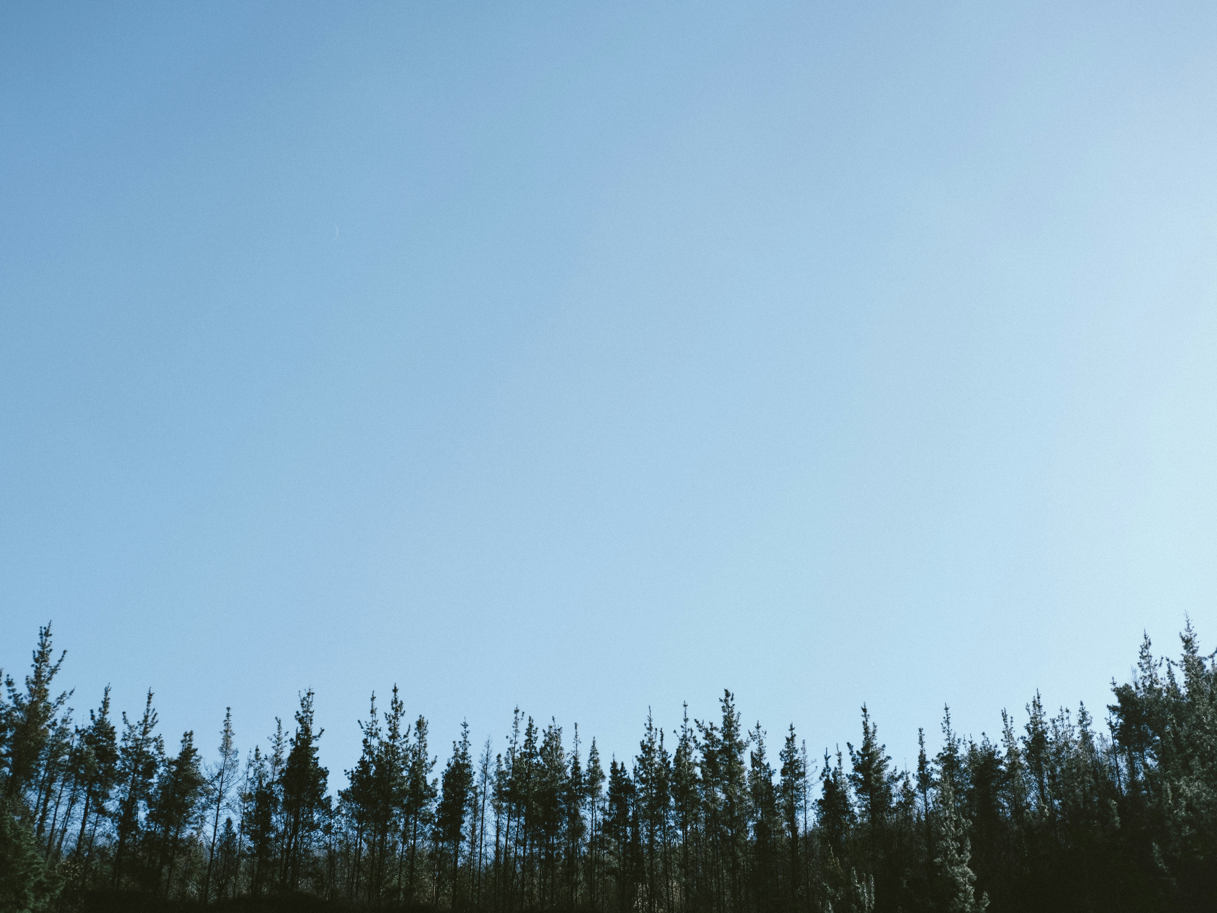 Photo by monk_kollektiv