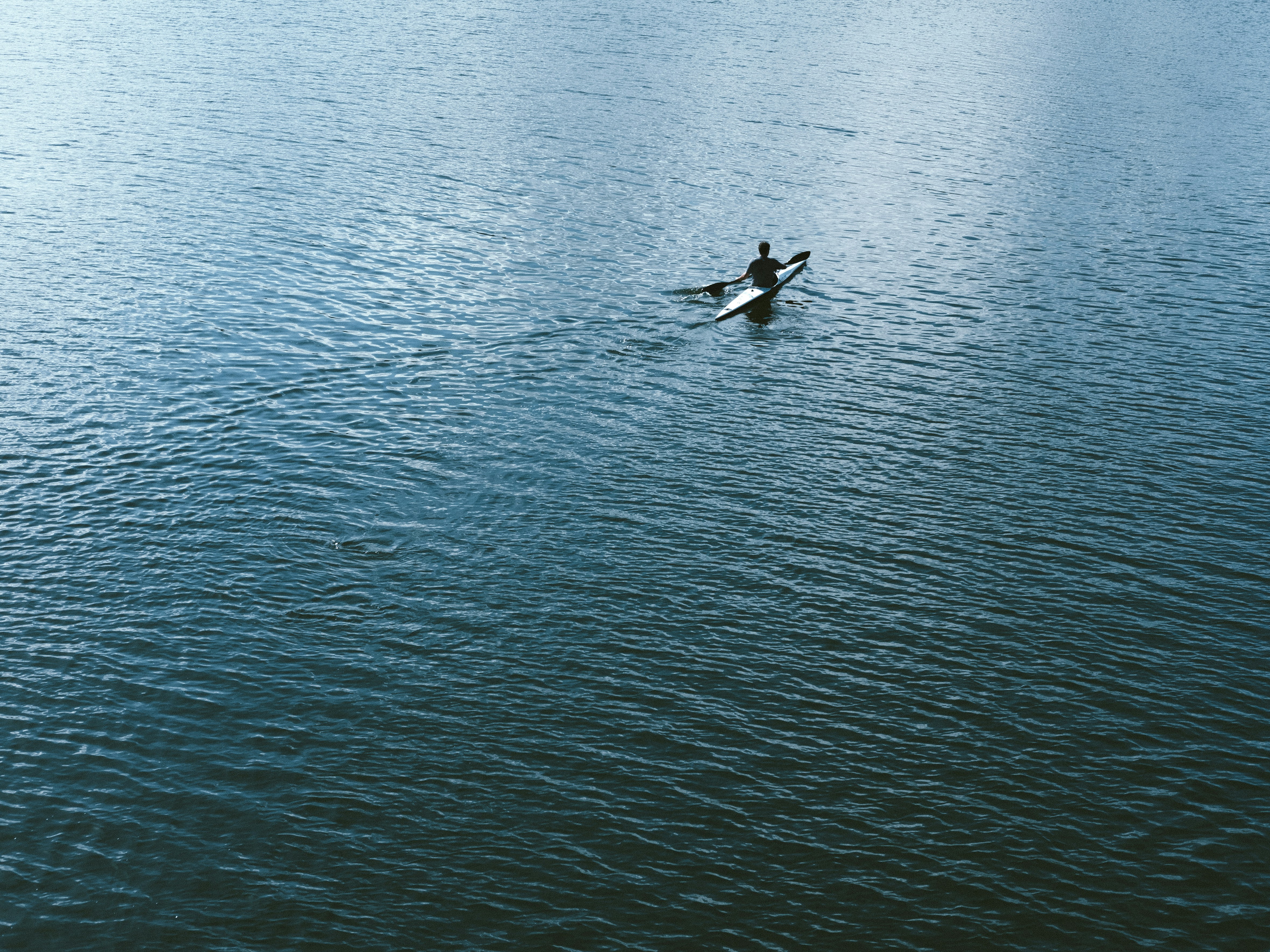 Photo by monk_kollektiv