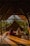 A wooden, open-air structure with a slanted roof provides a serene setting in a lush, green environment. Inside, two people sit on the wooden floor, draped in colorful cloths. The warm sunlight casts long shadows across the floor, creating a tranquil and peaceful atmosphere.