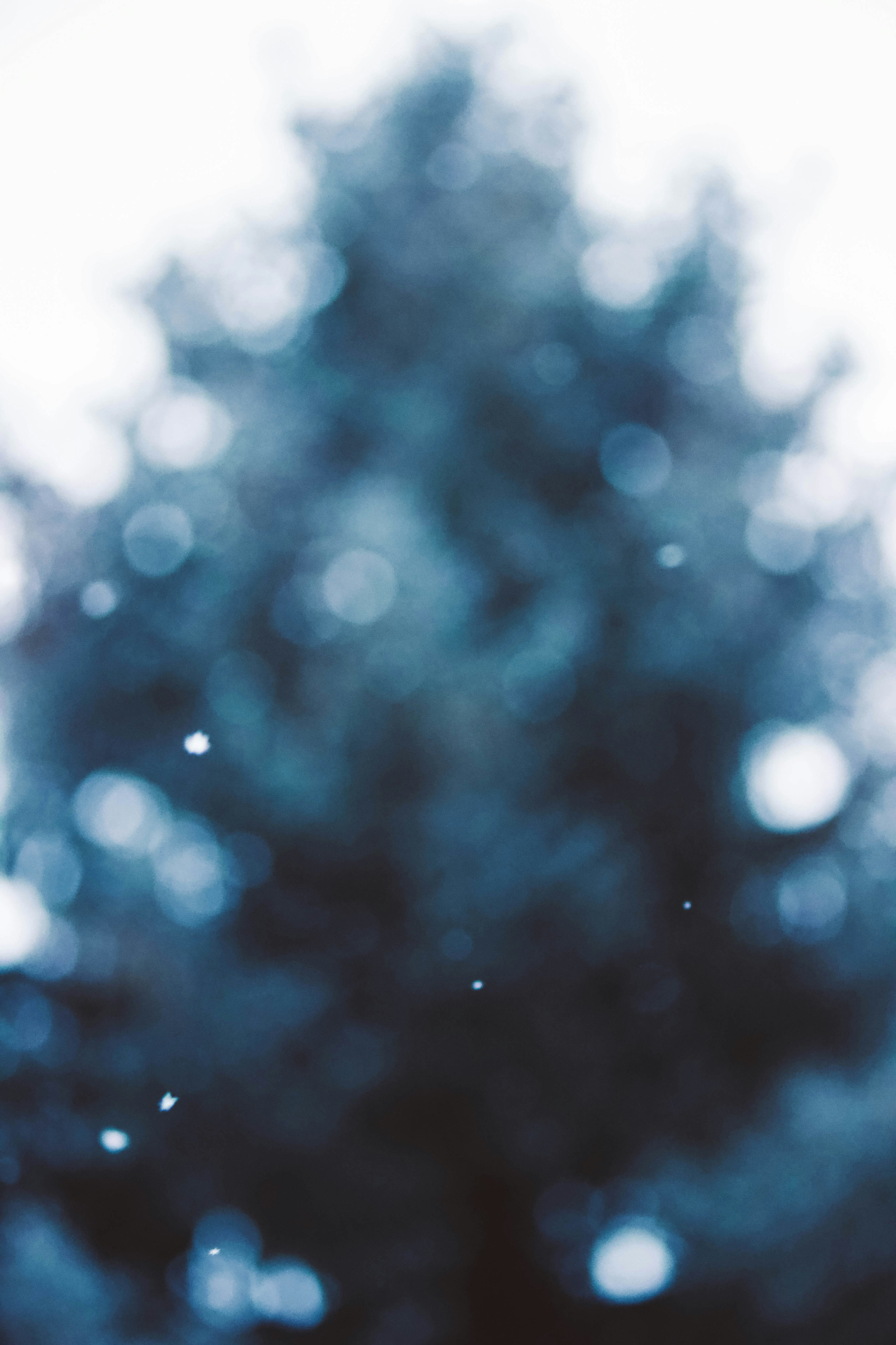 Photo by jessicalfadel