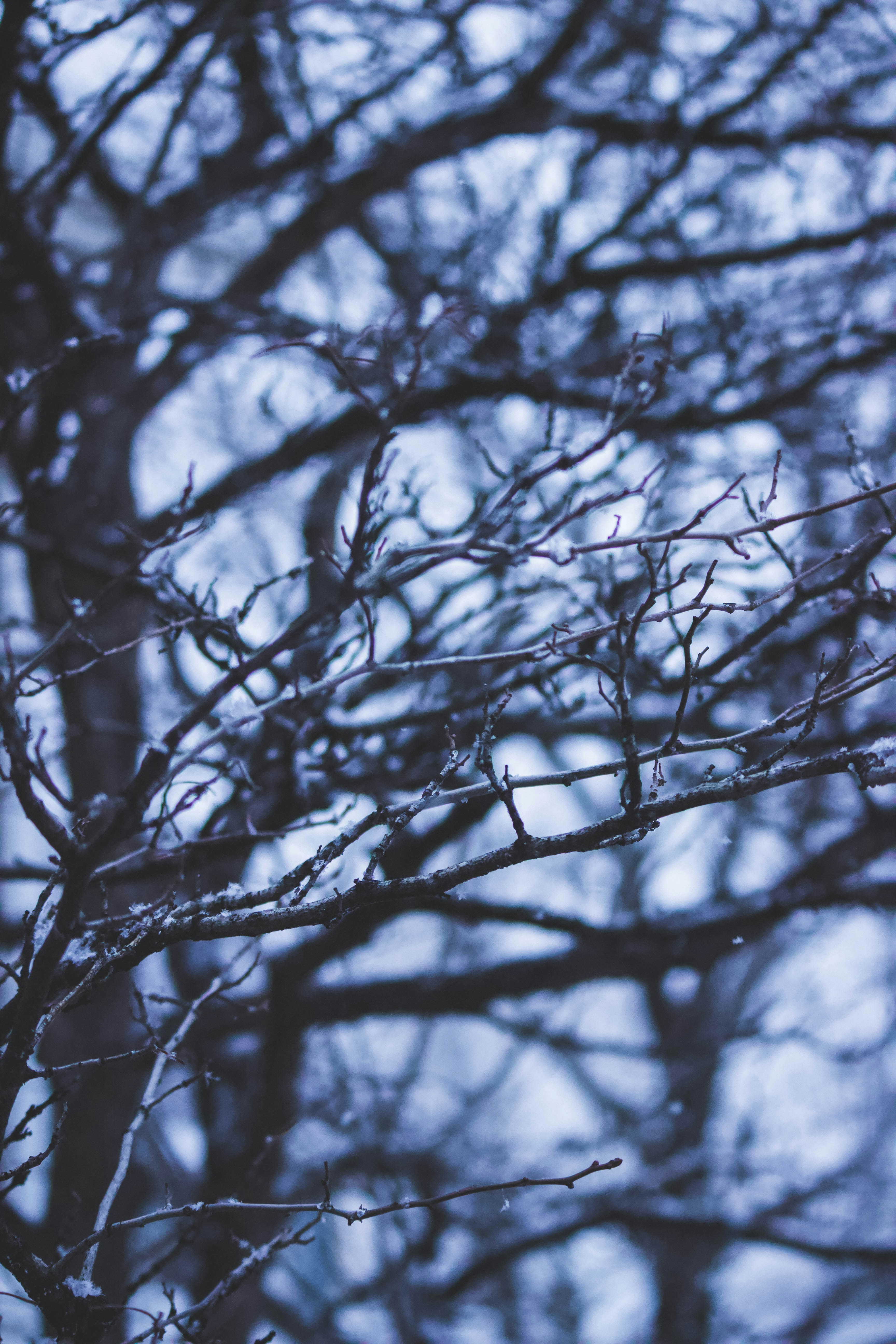 Photo by jessicalfadel