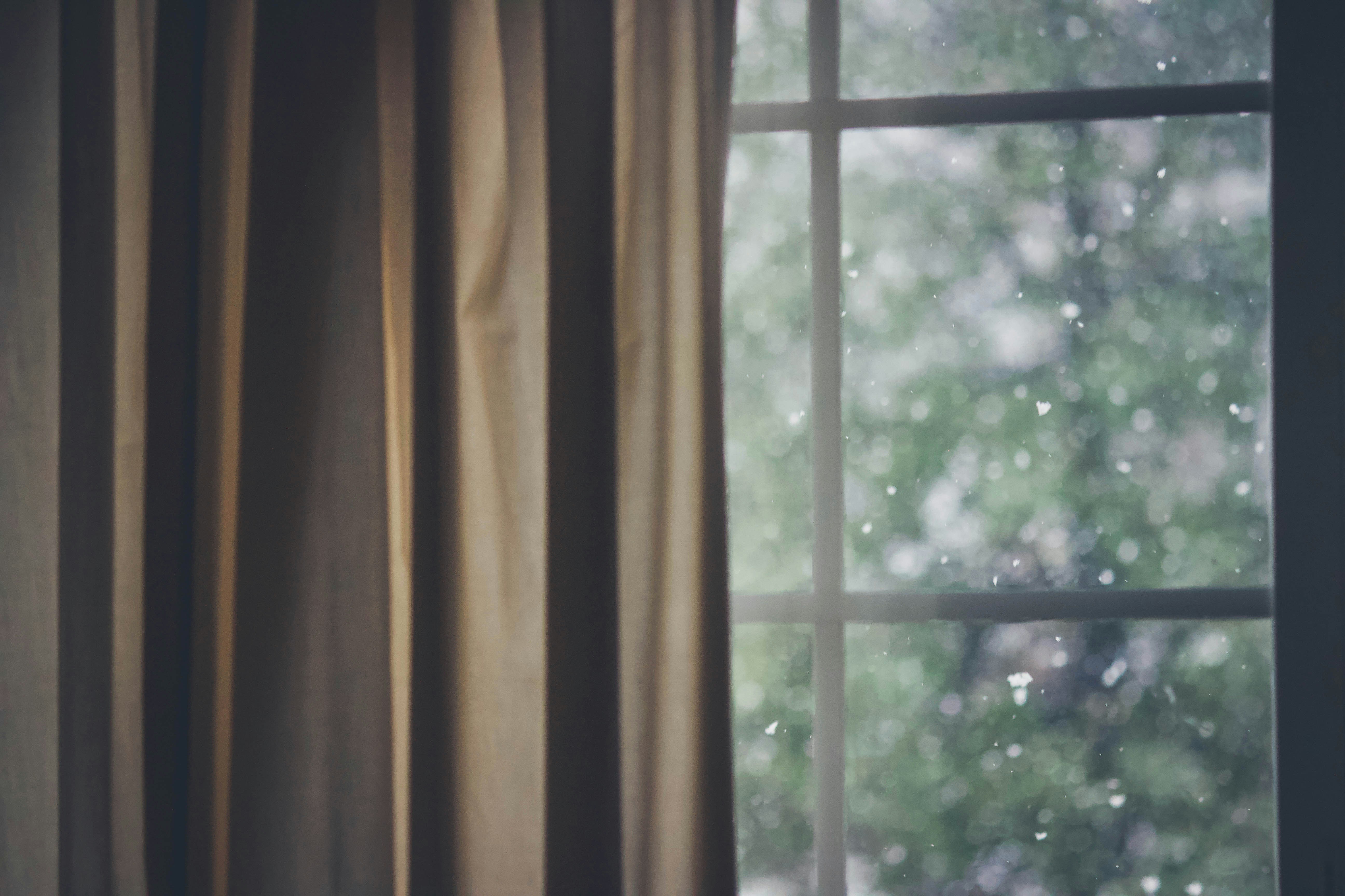 Photo by jessicalfadel