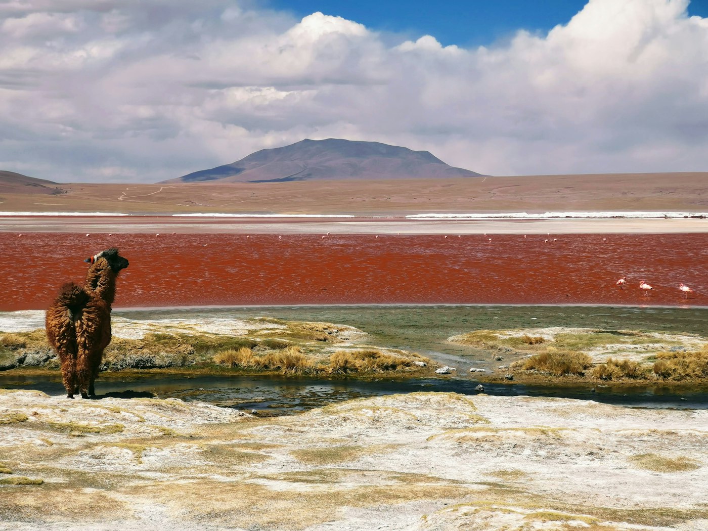 Laguna Colorada