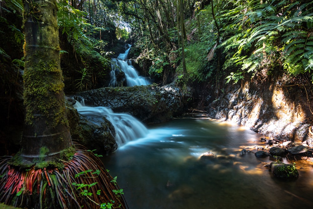 Wasserfälle im Wald