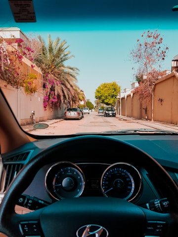 A view from the driver's seat inside a car, showing a residential street lined with walls and flowering trees, including palm trees and bougainvillea. The dashboard and steering wheel are visible in the foreground, while several parked cars and a bright sky can be seen outside.