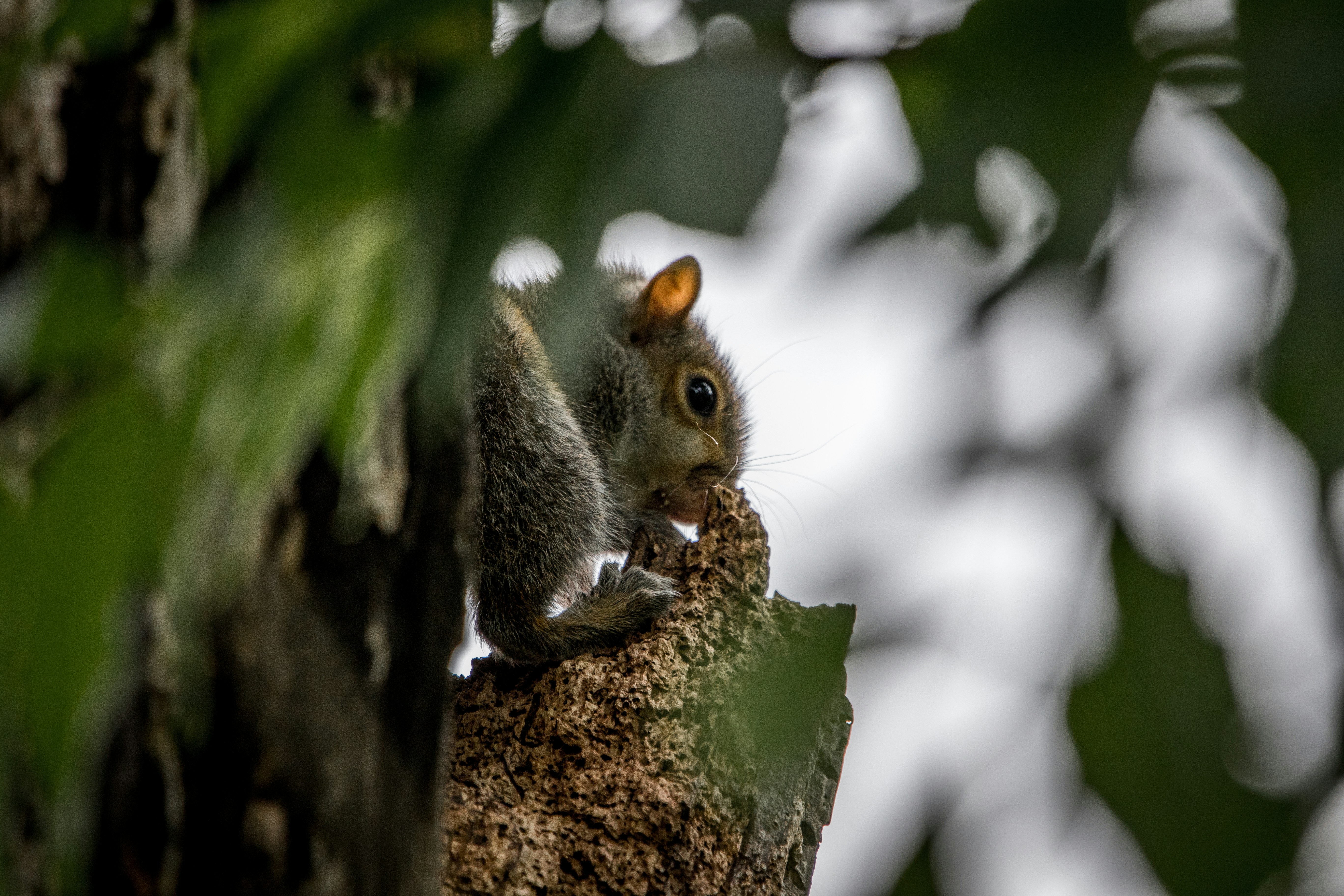 Photo by will_bolding_photography