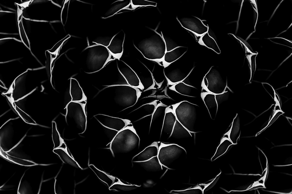 Schwarze Cluster-Blumentapete