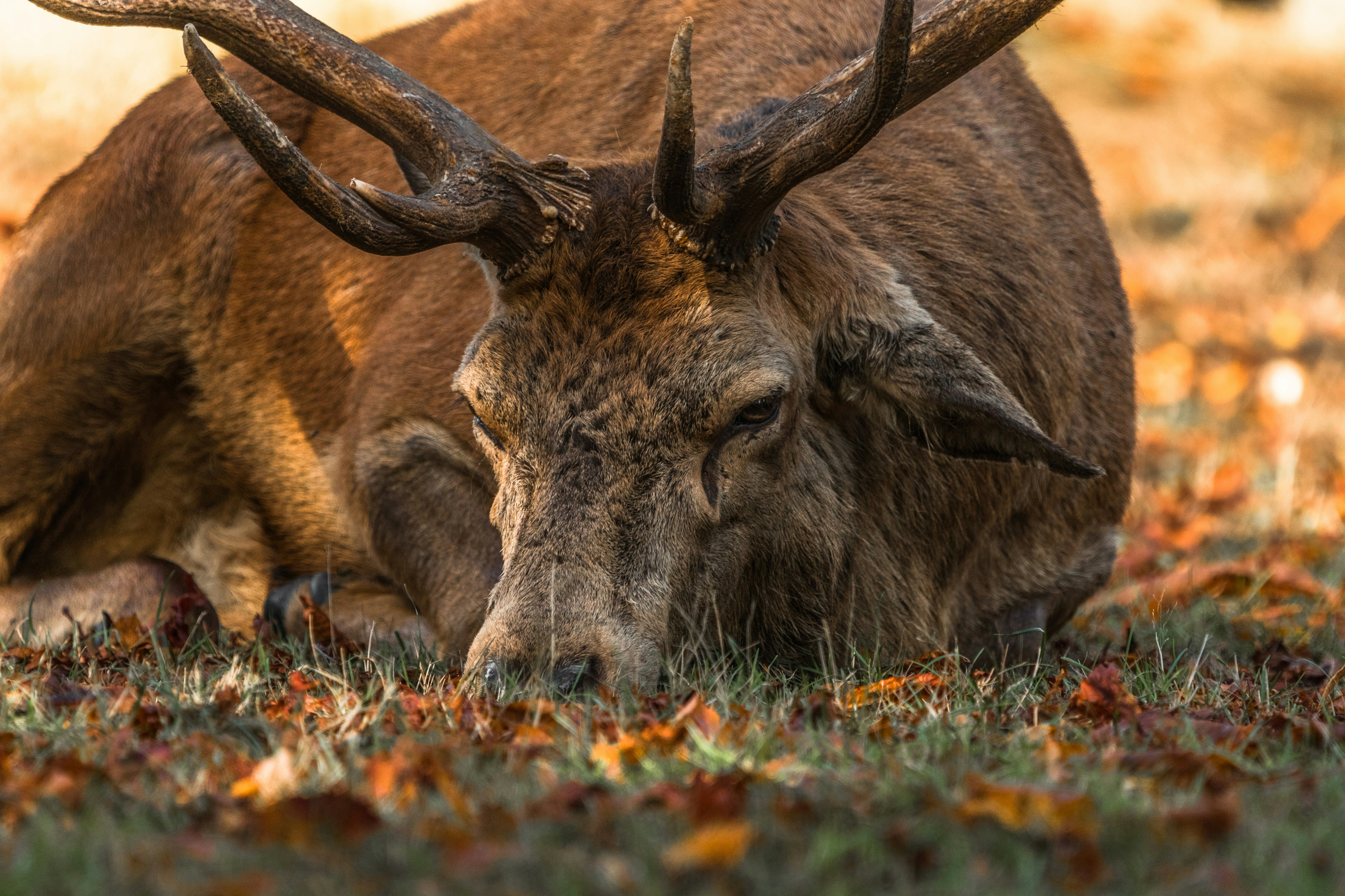 Photo by will_bolding_photography