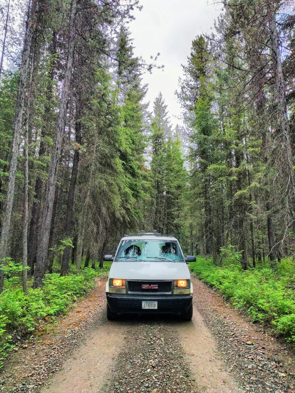 white vehicle surrounded by trees at daytime