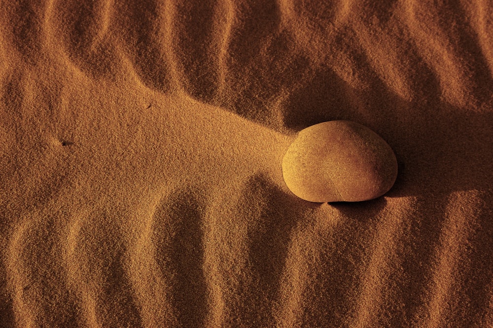 brown stone on sand