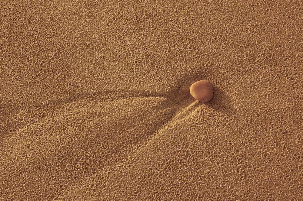 pebble on sand dune