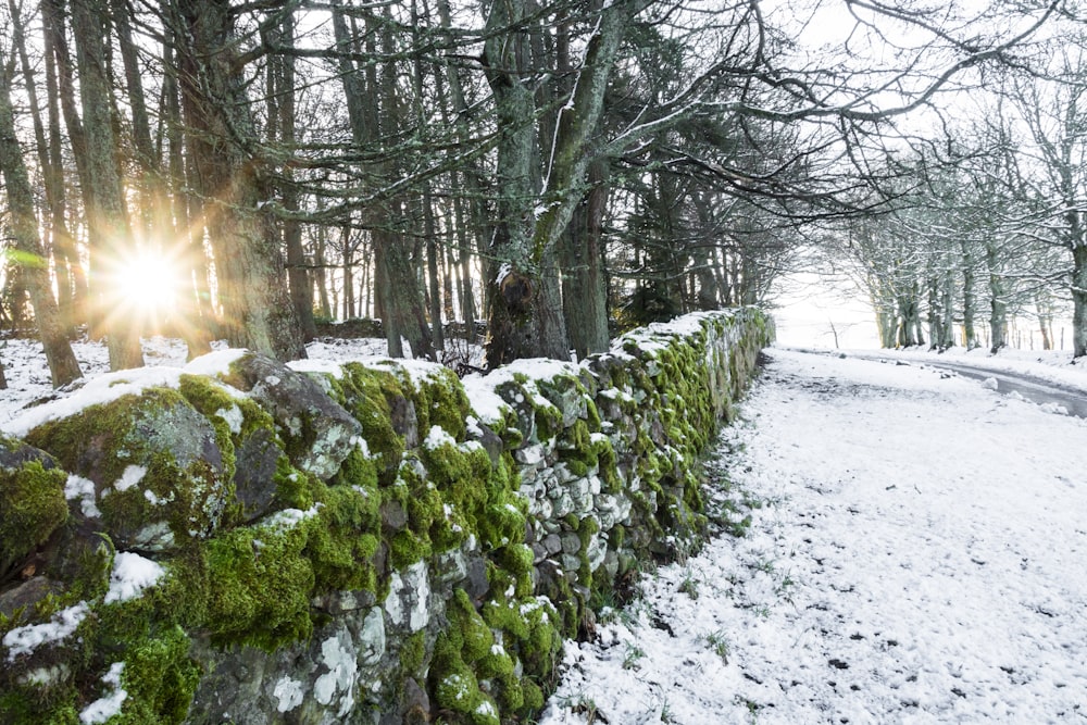 black stone fence