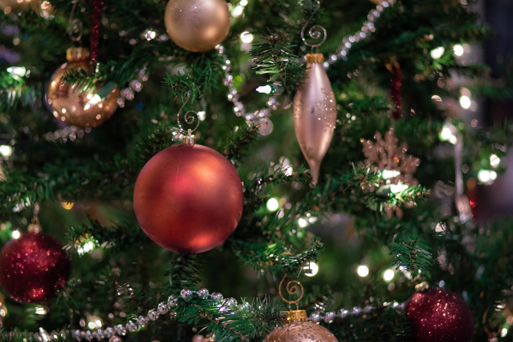 photographie de mise au point sélective de décorations de Noël accrochées à l’arbre