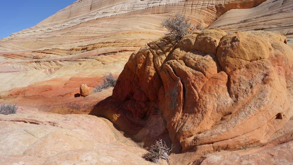 brown rock formation