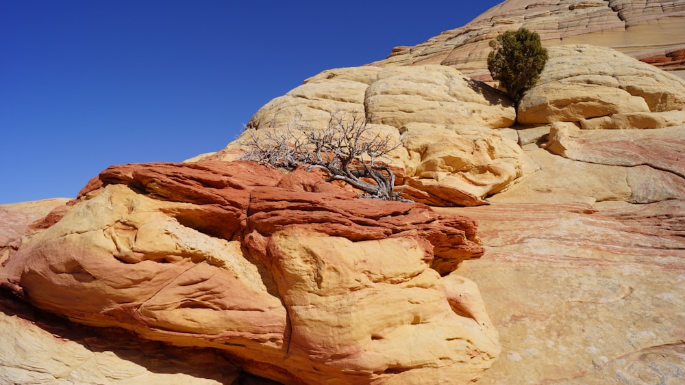 landscape photo of mountain during daytime