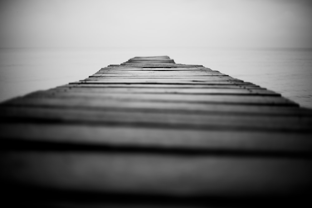 grayscale photography of wooden dock