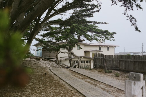 A cozy backyard ADU with natural wood siding and large windows.
