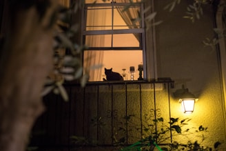A cozy living room scene with a cat sitting peacefully on a windowsill.