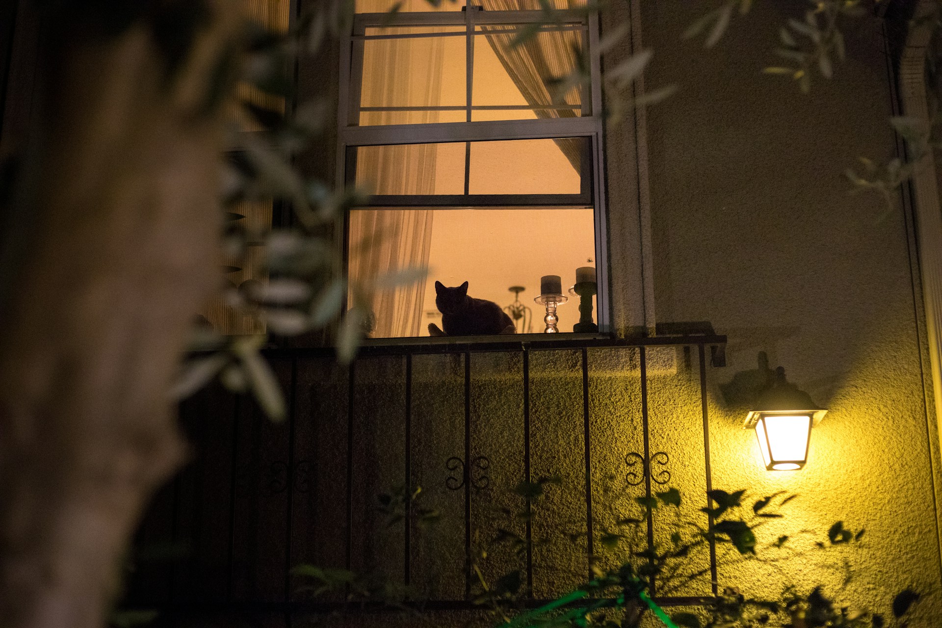 black and white bed linen