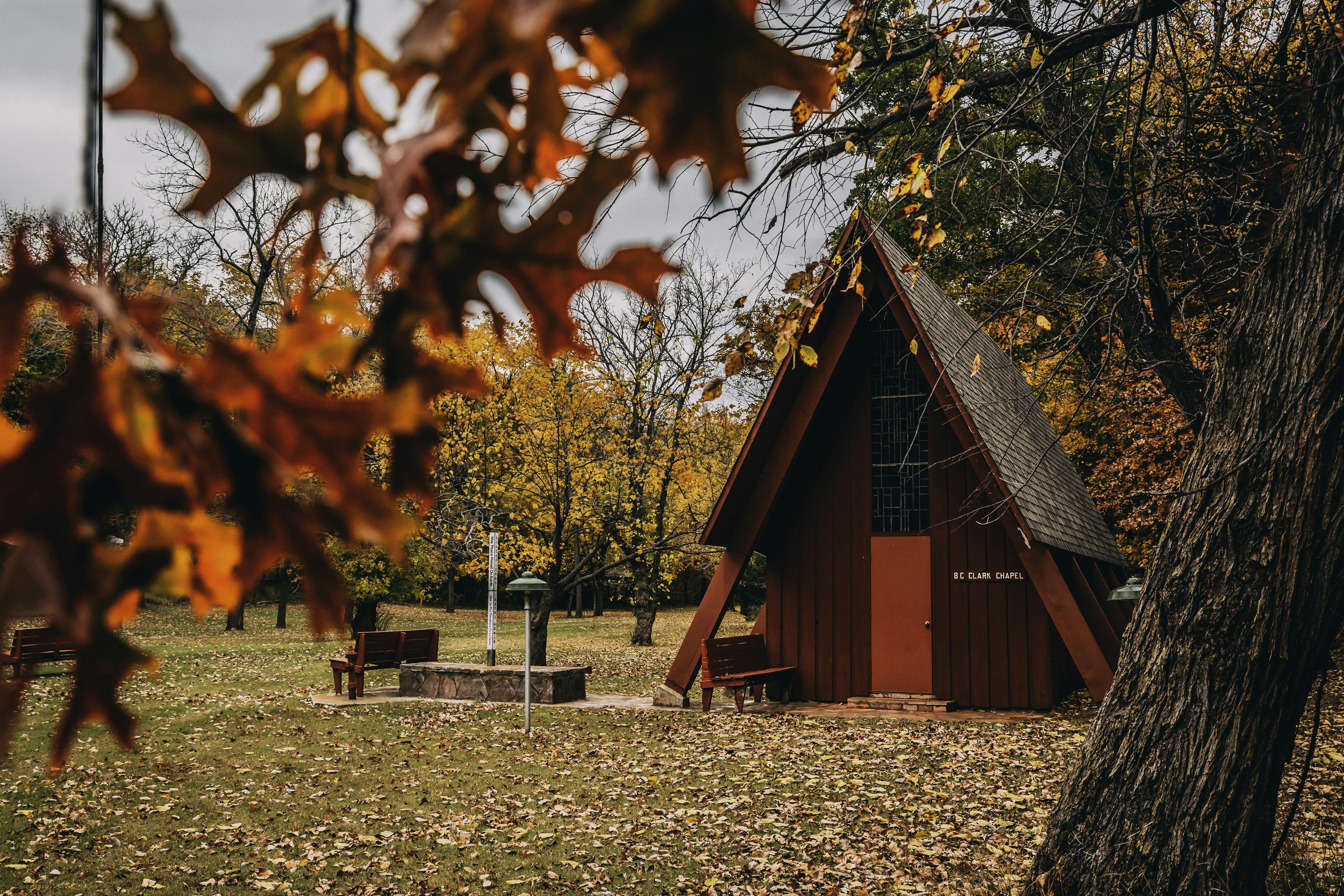 red house near autumn trees