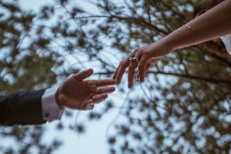 Two hands are reaching out towards each other against a background of out-of-focus foliage, suggesting an outdoor setting. One of the hands is adorned with rings and a bracelet, while the other appears to be part of a person wearing a suit.
