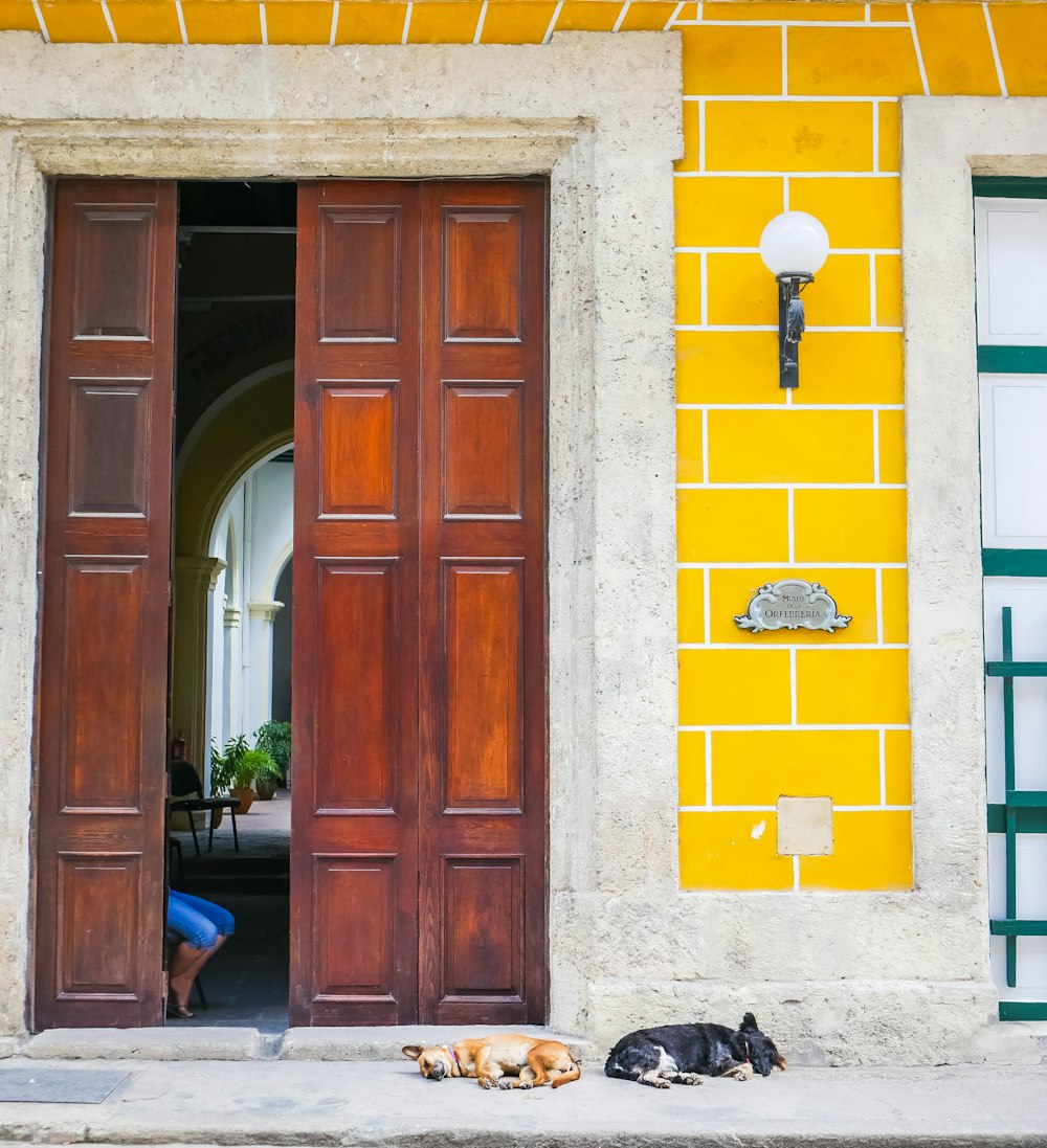 person in blue shorts sitting beyond the opened wooden door of building