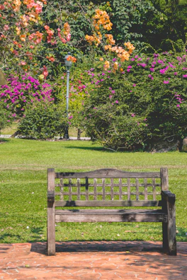 A restored historic park bench overlooking a vibrant garden bed.