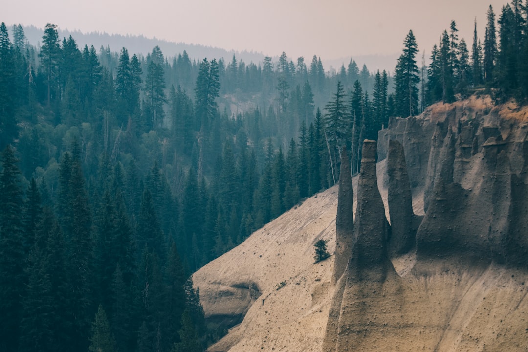 black and beige rock formation surrounded by tree