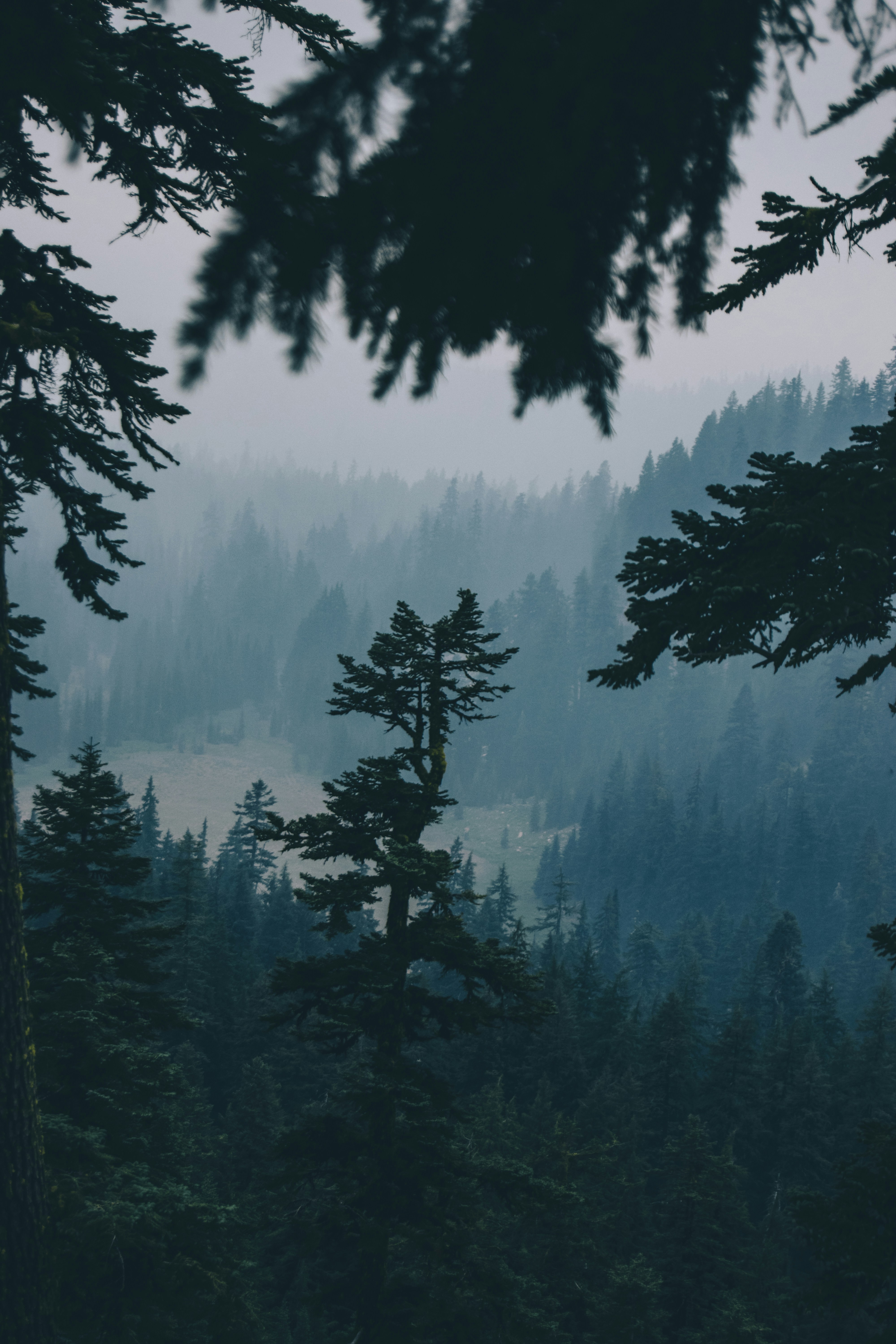 Photo by seitamaaphotography