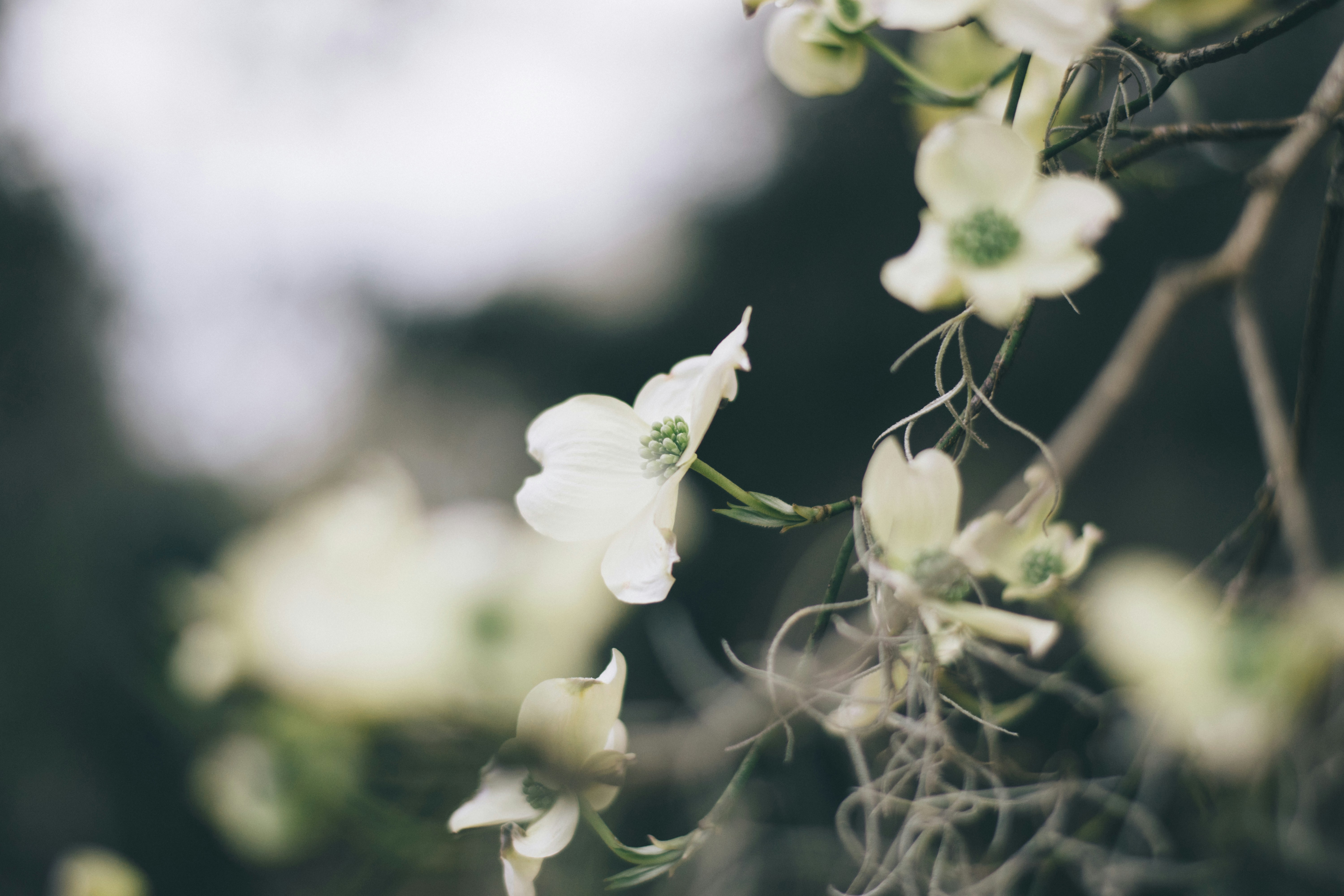 Photo by seitamaaphotography