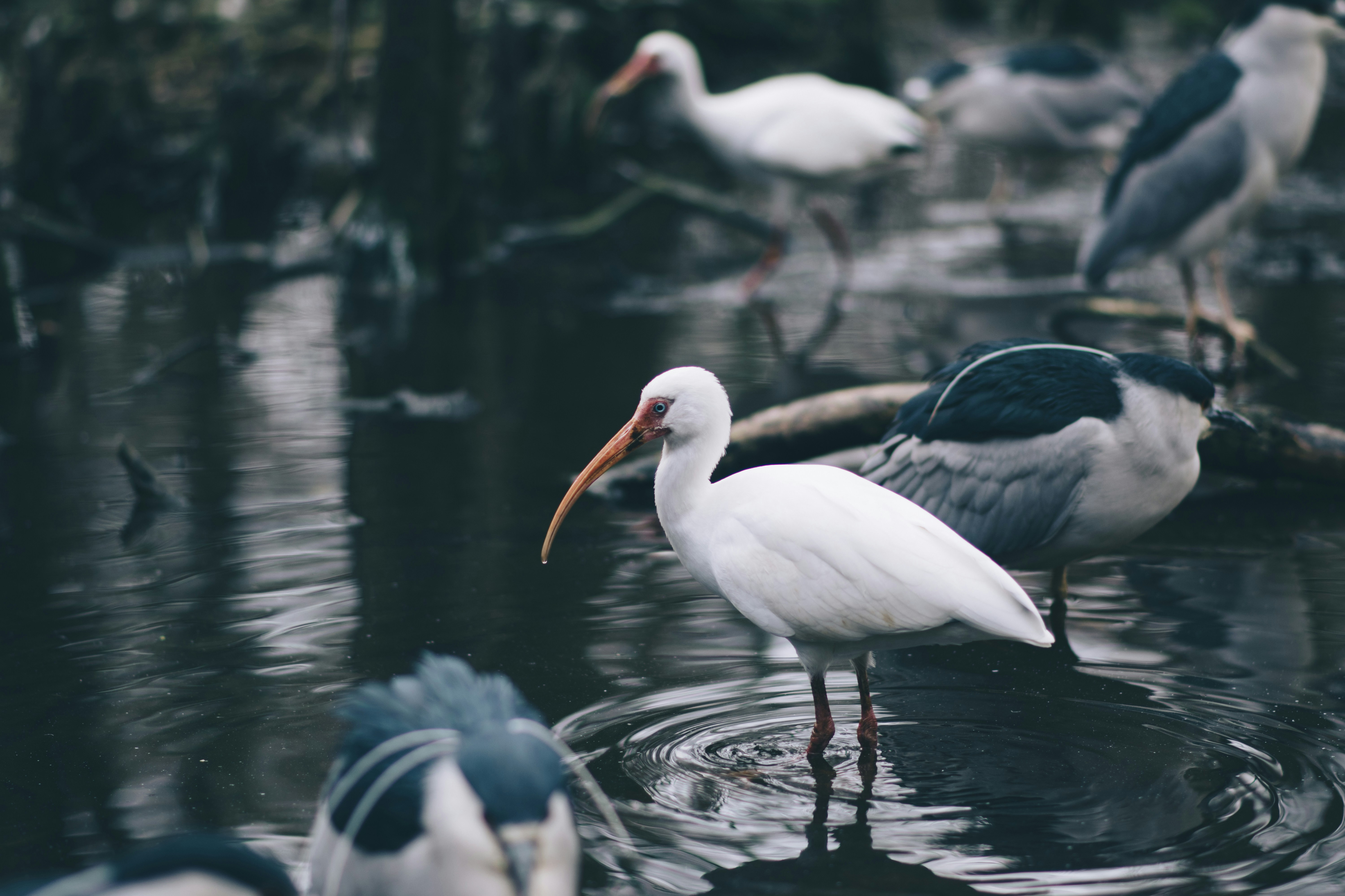 Photo by seitamaaphotography