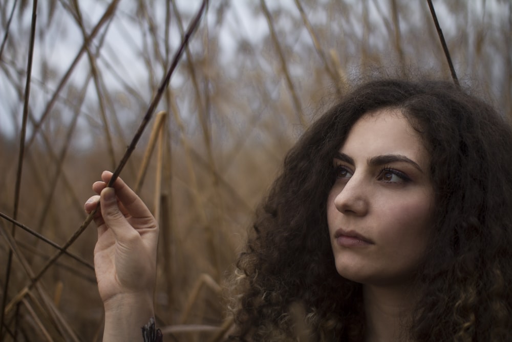 woman holding brown twig in selective focus photography