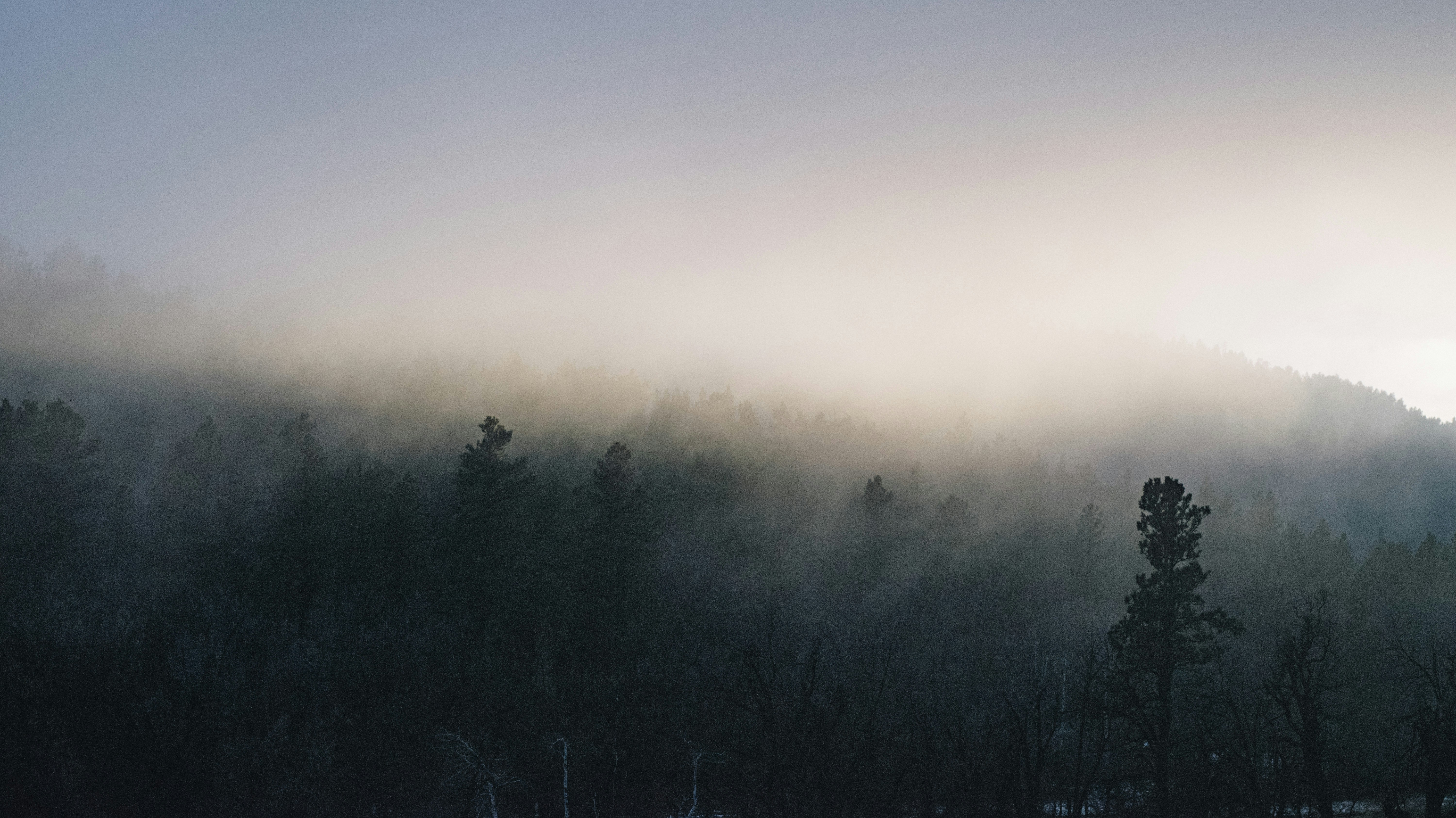 Photo by seitamaaphotography