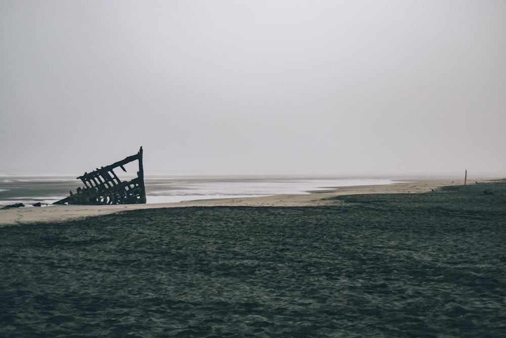 seashore under cloudy sky