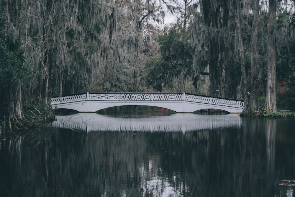 fotografia de foco seletivo da ponte