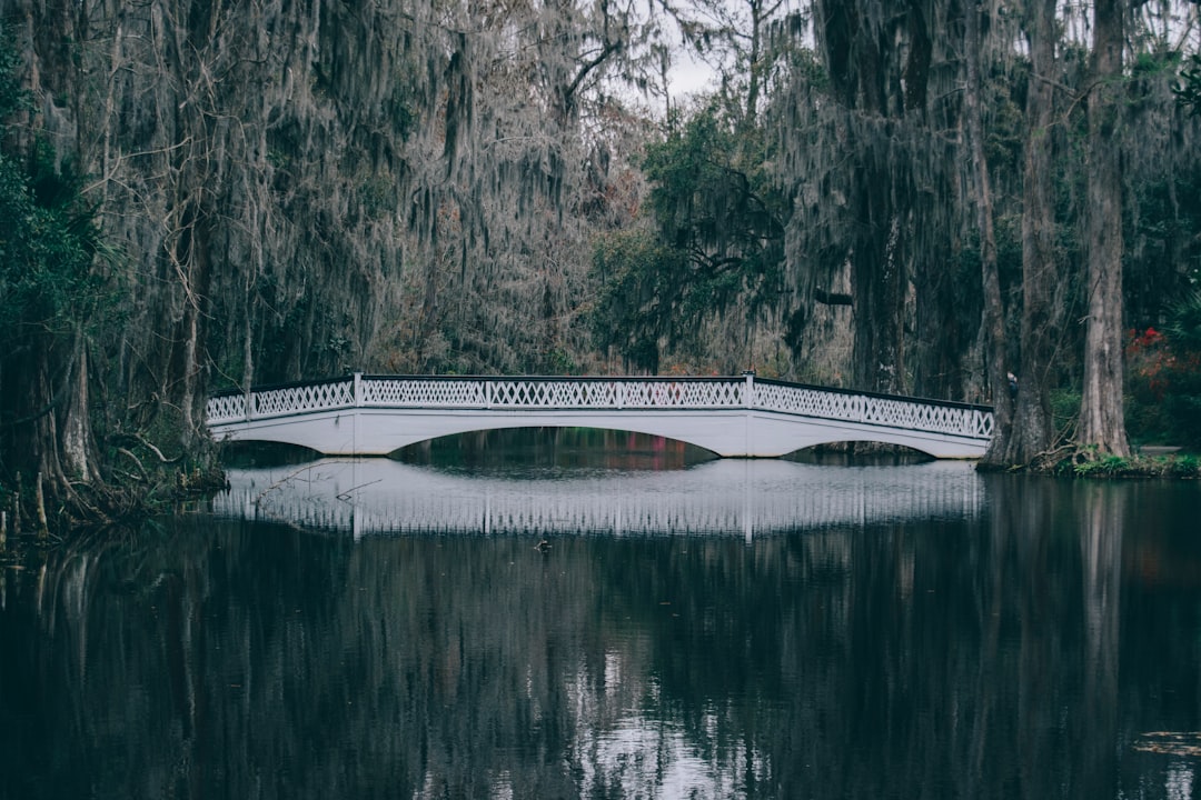 selective focus photography of bridge