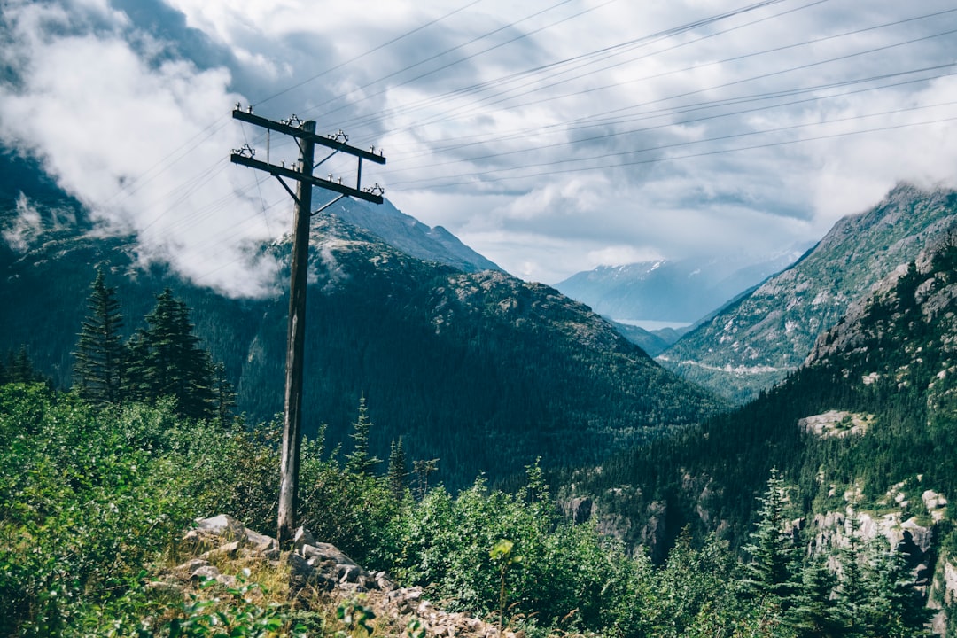 wooden electric post near trees during daytime