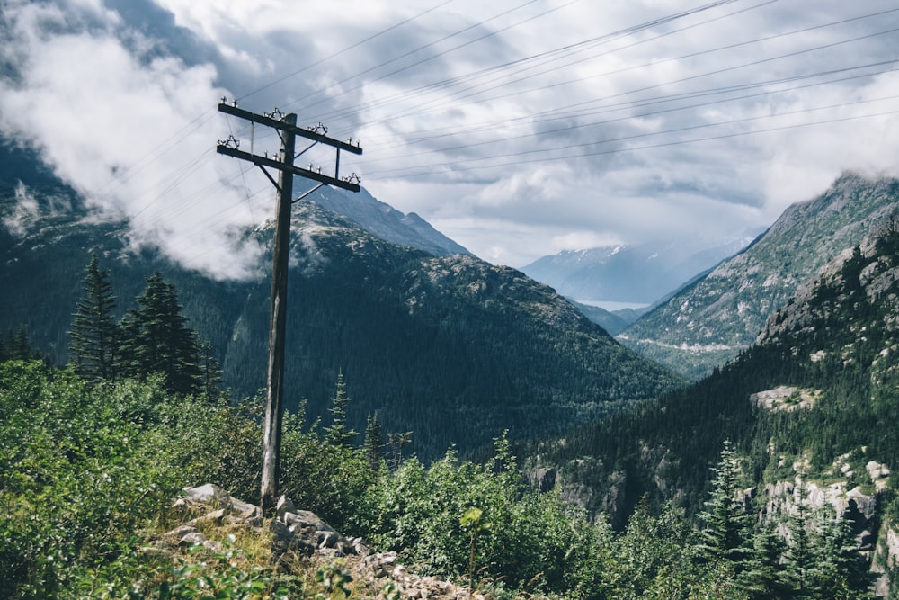 wooden electric post near trees during daytime